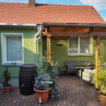 Ferienwohnung Töpferblick Olbersdorf Exterior foto